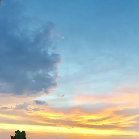 Del Sole